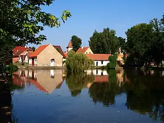 Nesuchyně