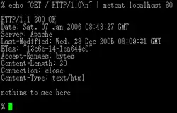 Description de l'image Netcat.png.
