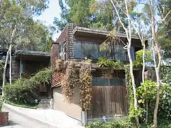 Neutra treetops