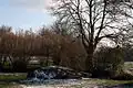 Le bois de l'Ermite.