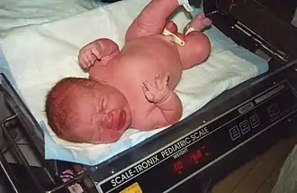Description de l'image New-baby-boy-weight-11-pounds.jpg.
