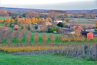 Image dans Infobox.