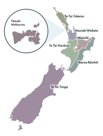 carte des sept secteurs d'électorat Māoris