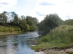 Photographie d'une rivière à travers un espace naturel avec des arbres et buissons.