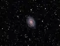 NGC 6384 imagée par un astronome amateur.