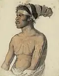 Teilnehmer der Baudin-Expedition nach Australien (1800–1804):  Muséum d’histoire naturelle du Havre
