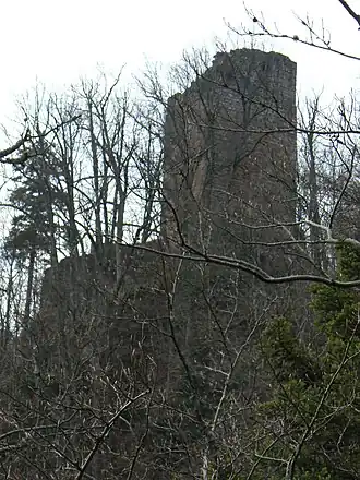 Image illustrative de l’article Château du Nideck