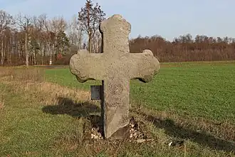 Niechlów
