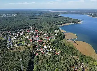 Niesulice