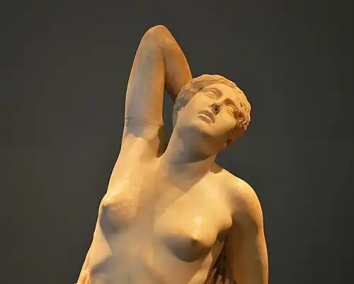 Dettaglio del viso e del busto della Niobide