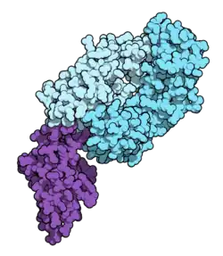 Image illustrative de l’article Nivolumab
