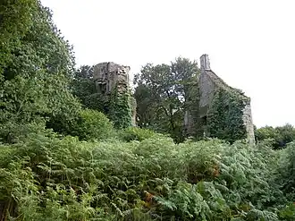 Image illustrative de l’article Château de Rustéphan