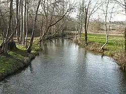 La Nizonne en limite de La Rochebeaucourt et Combiers.