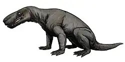 Restitution d'un gorgonopsien.