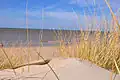 Plage de Bray-Dunes dans le Nord
