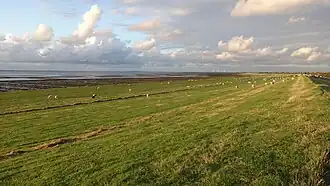 Norderfriedrichskoog