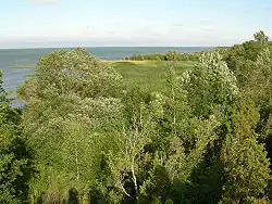 La côte nord de Muhu.