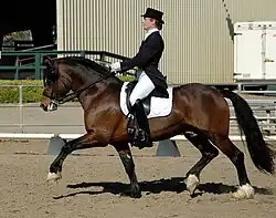 Photo en couleur d'un cheval alezan monté par une cavalière en tenue de concours.