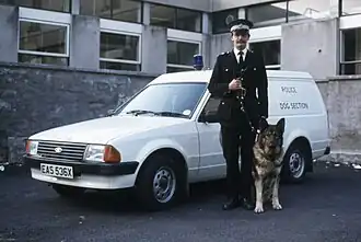 Image illustrative de l’article Ford Escort