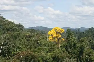Almeirim (Pará)