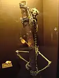 Notharctus
