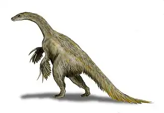 Nothronychus