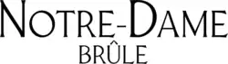 Description de l'image Notre-Dame brûle.png.