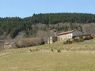 Forêt des Bois-Noirs au niveau du hameau de Notre-Dame de Mons.