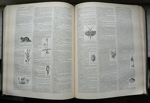 Organisation des articles.