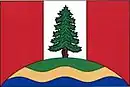 Drapeau de Nové Heřminovy