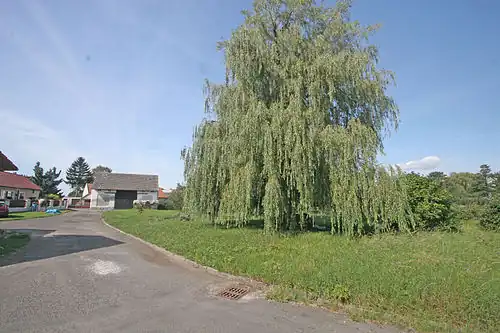 Nový Dvůr.