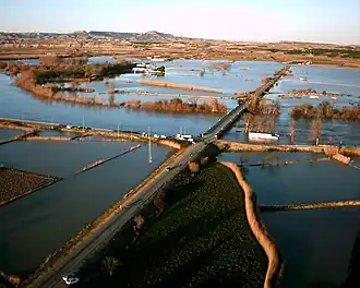 Novillas