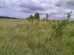 Oblast de Voronej, Russie, 2016