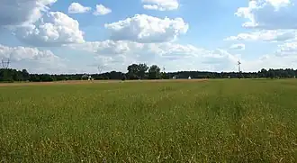 Nowiny Sobolewskie