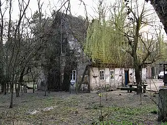 Nowy Świat (Zielona Góra)
