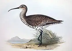 Illustration (vers 1830)