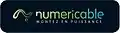 Logo Numericable de août 2007 à février 2008.