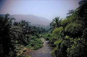 Bweremana