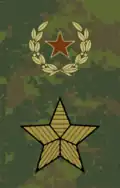 Uniforme de terrain de l'Armée de terre depuis 2013