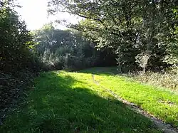 Une invitation à la découverte du sous-bois.