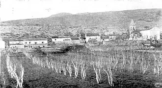 Šušnjevica