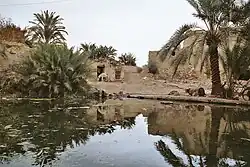 Image d'un plan d'eau calme qui reflète les palmiers et les bâtiments environnants. Sur la rive, se trouvent des habitations rudimentaires, un âne, des palmiers et une bicyclette.