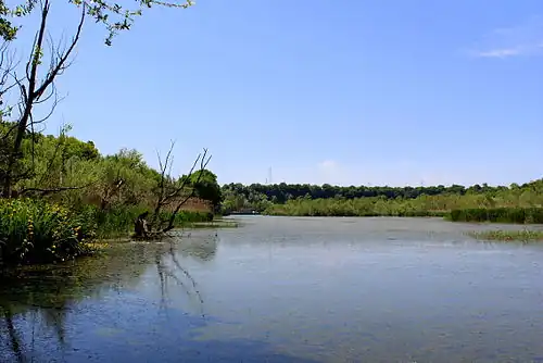 Oasis de Persano.