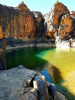 Oasis.