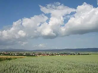 Wöllstadt