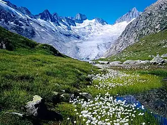 Image illustrative de l’article Oberaarjoch