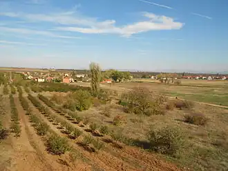 Oblačina