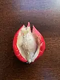Fruit.