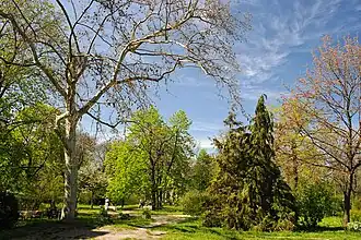 Image illustrative de l’article Jardin botanique d'Odessa