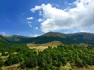 Odzoun